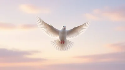Dove Symbolism