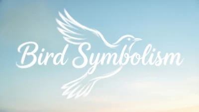 Bird Symbolism