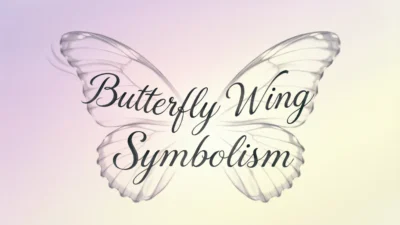 Butterfly Wing Symbolism