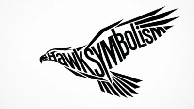 Hawk Symbolism