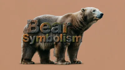 Bear Symbolism