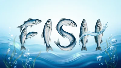 Fish Symbolism