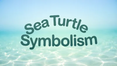 Sea Turtle Symbolism