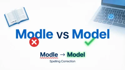 Modle vs Model