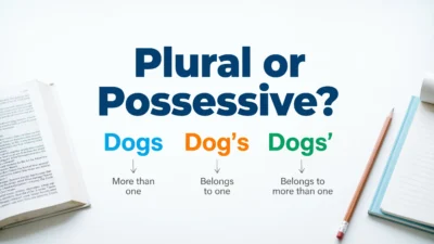 Plural or Possessive